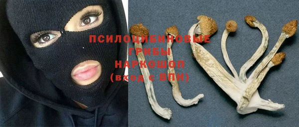 мдпв Армянск